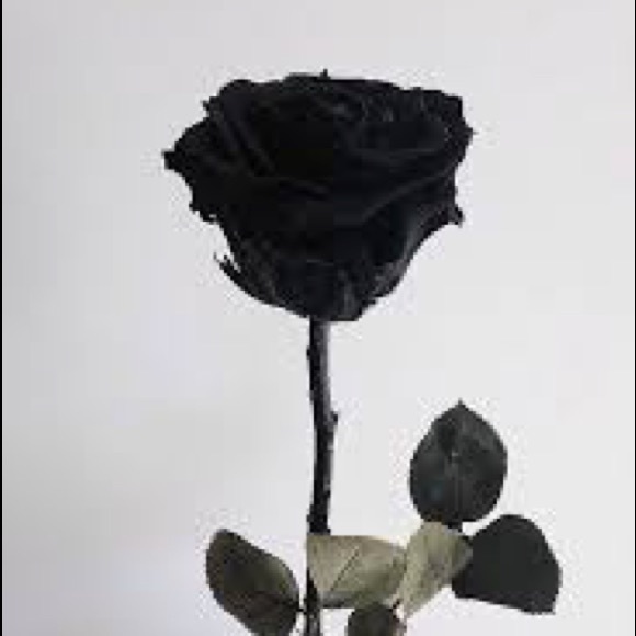 addicted2black